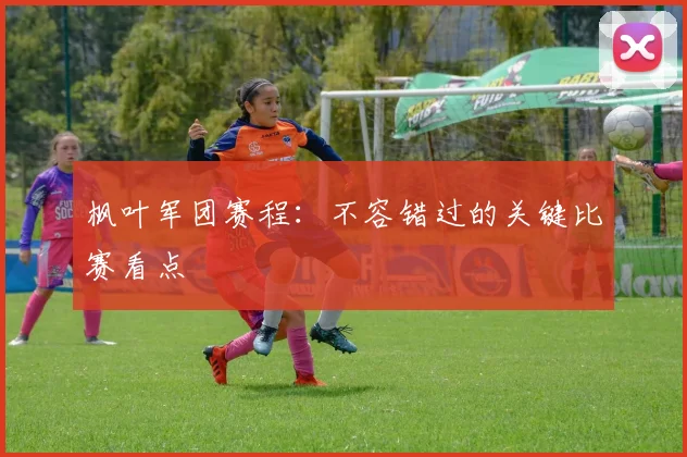 枫叶军团赛程：不容错过的关键比赛看点